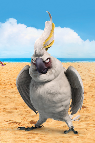 Das Nigel Parrot From Rio Wallpaper 320x480