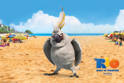 Das Nigel Parrot From Rio Wallpaper 480x320