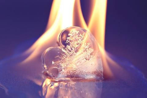 Обои Ice heart in fire 480x320