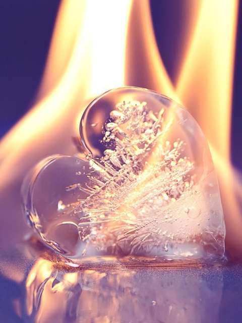 Обои Ice heart in fire 480x640