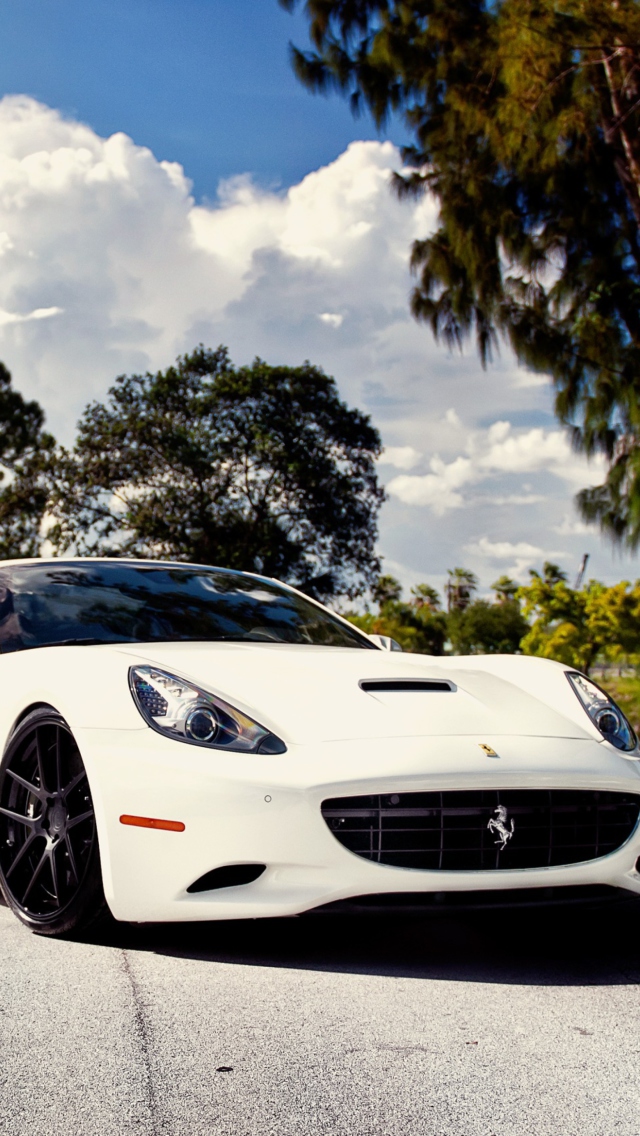 Обои White Ferrari 640x1136