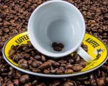 Sfondi Coffee beans 220x176