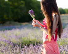 Girl With Field Flowers wallpaper 220x176