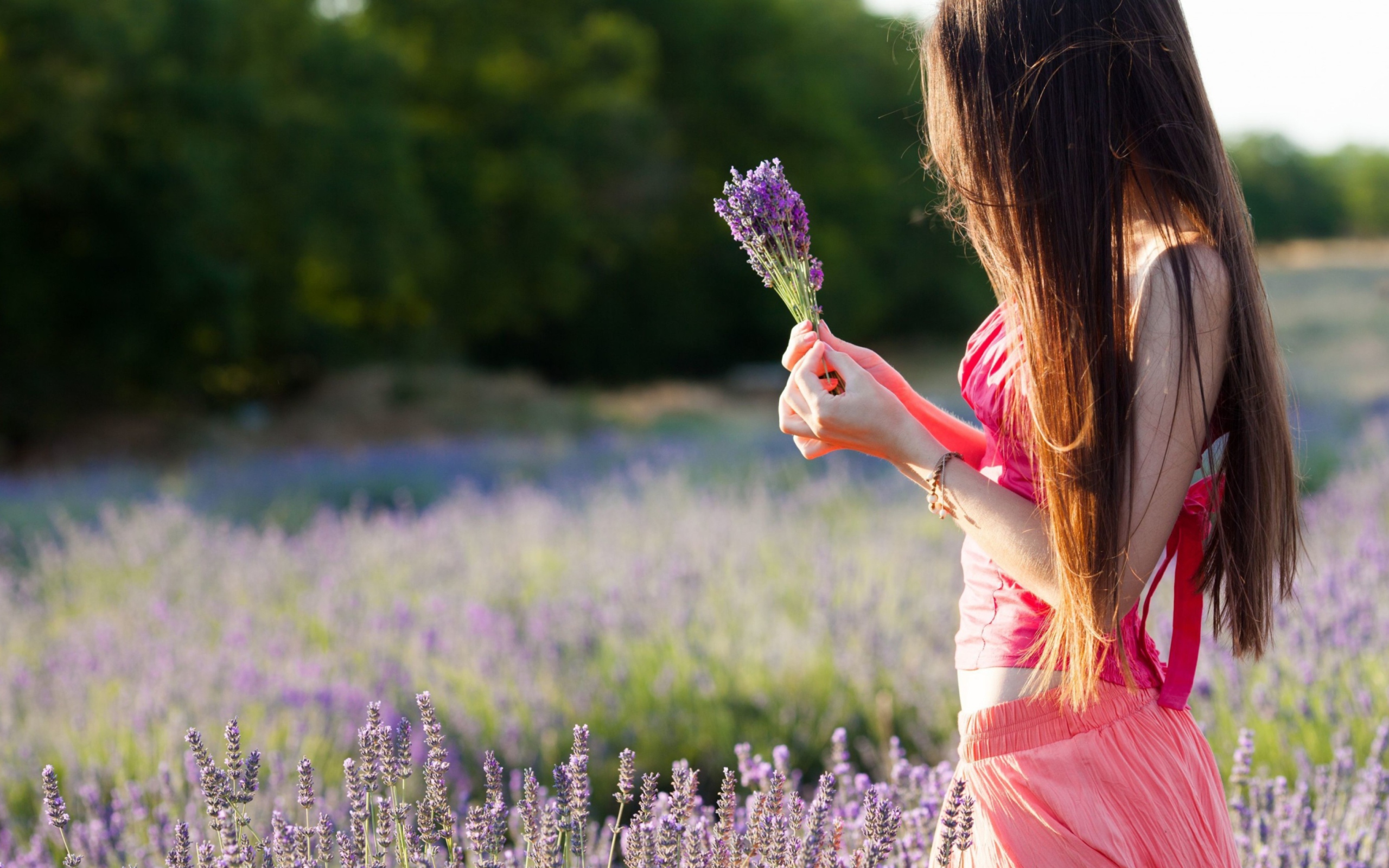 Screenshot №1 pro téma Girl With Field Flowers 2560x1600
