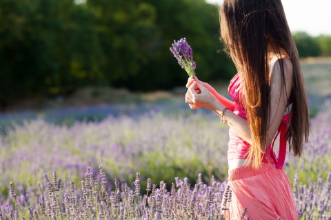 Girl With Field Flowers wallpaper 480x320
