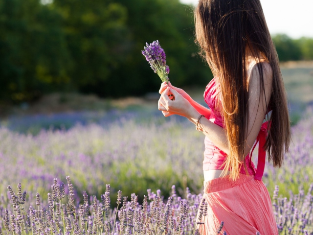 Girl With Field Flowers wallpaper 640x480