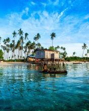 Sfondi Malaysia Tropical Coast 176x220