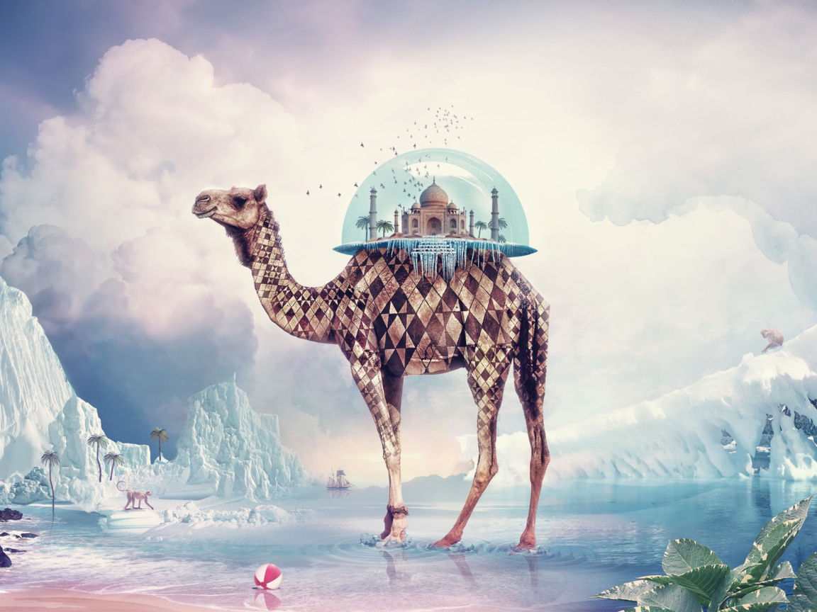 Magical Camel wallpaper 1152x864