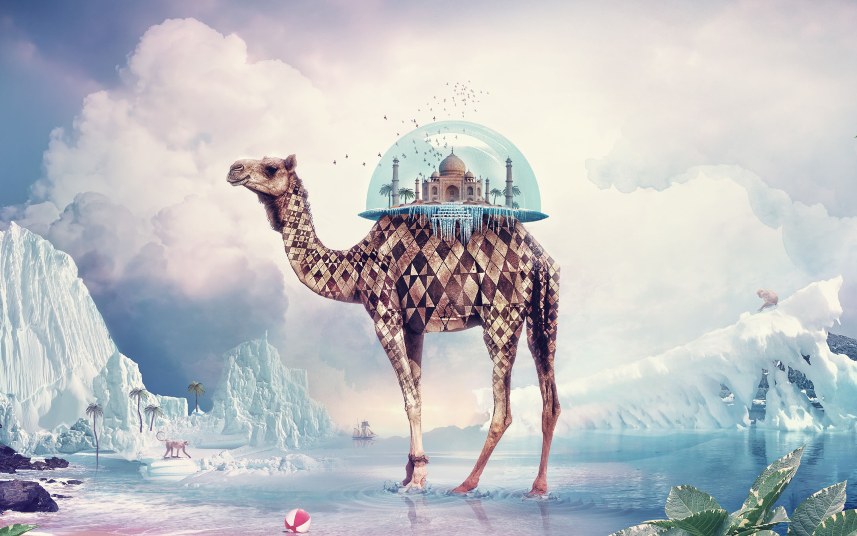 Magical Camel wallpaper 1680x1050