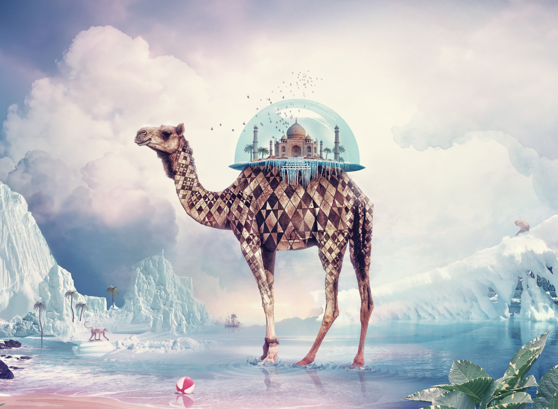 Das Magical Camel Wallpaper 1920x1408