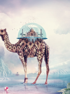 Das Magical Camel Wallpaper 240x320