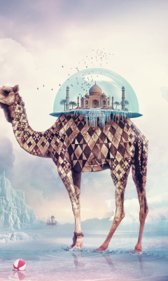 Magical Camel wallpaper 240x400