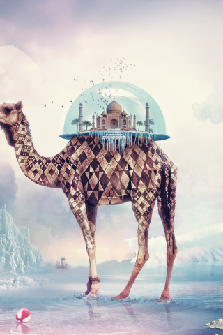 Das Magical Camel Wallpaper 320x480