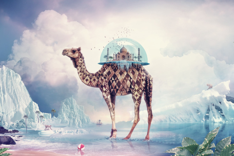 Das Magical Camel Wallpaper 480x320