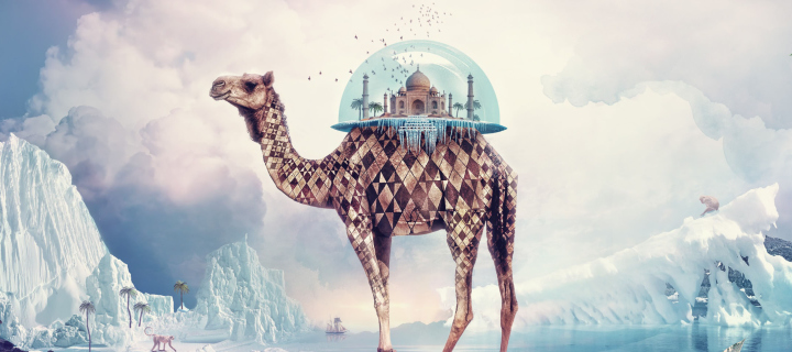 Das Magical Camel Wallpaper 720x320