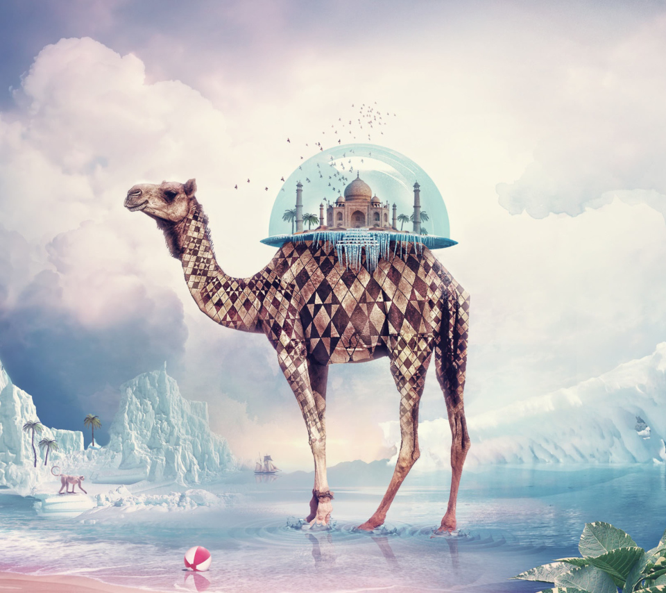 Magical Camel wallpaper 960x854