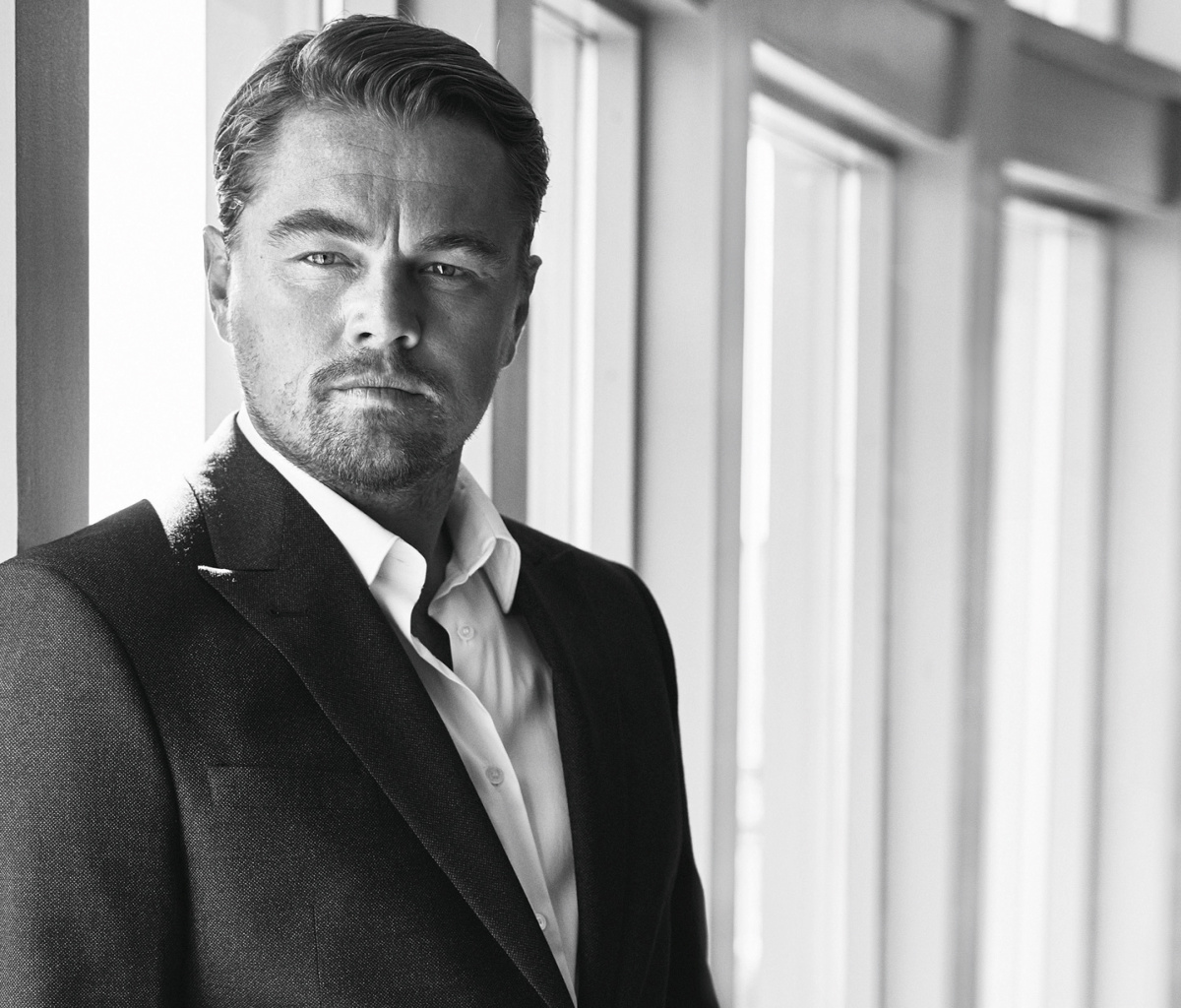 Das Leonardo DiCaprio Celebuzz Photo Wallpaper 1200x1024