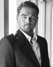 Das Leonardo DiCaprio Celebuzz Photo Wallpaper 176x220