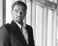Das Leonardo DiCaprio Celebuzz Photo Wallpaper 220x176