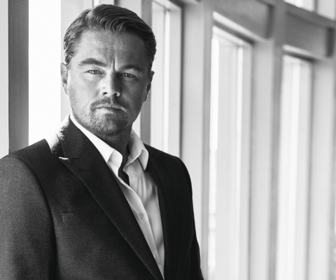 Leonardo DiCaprio Celebuzz Photo wallpaper 480x400