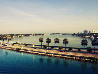 Miami Beach screenshot #1 320x240