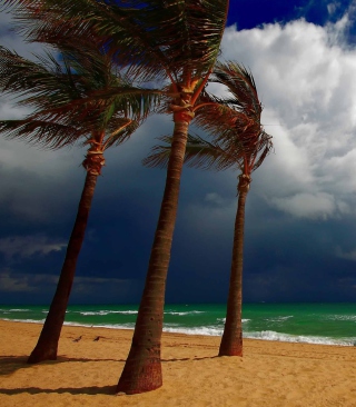 Beach Ani Villas, Anguilla - Obrázkek zdarma pro Nokia X6 16GB