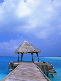 Paradise Beach wallpaper 240x320