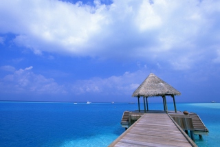 Paradise Beach - Obrázkek zdarma pro Samsung Galaxy S5