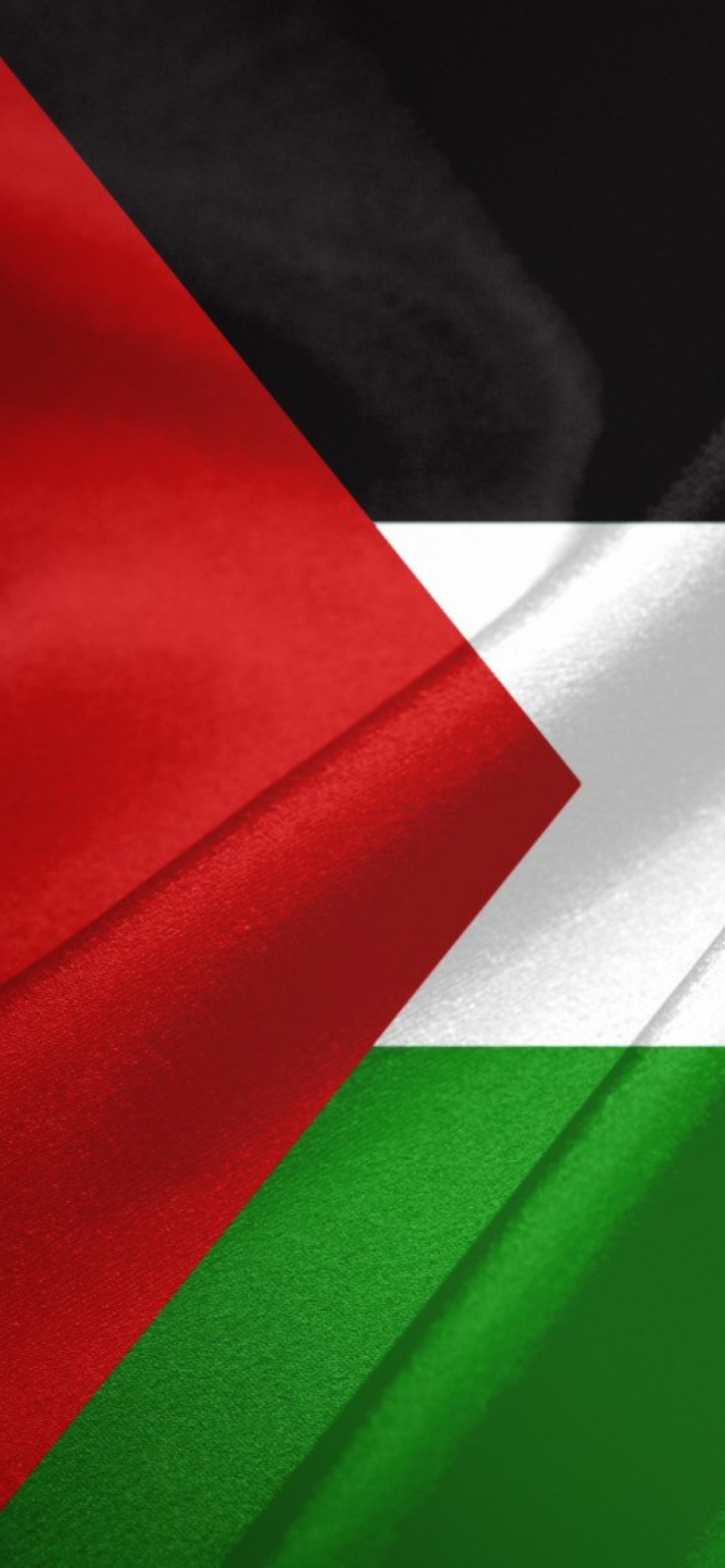 Fondo de pantalla Palestinian flag 1170x2532