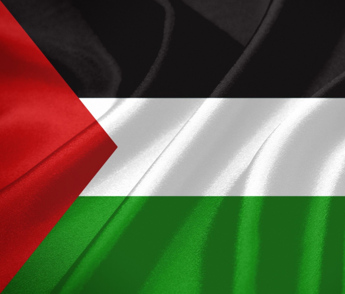 Обои Palestinian flag 1200x1024