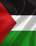 Das Palestinian flag Wallpaper 128x160