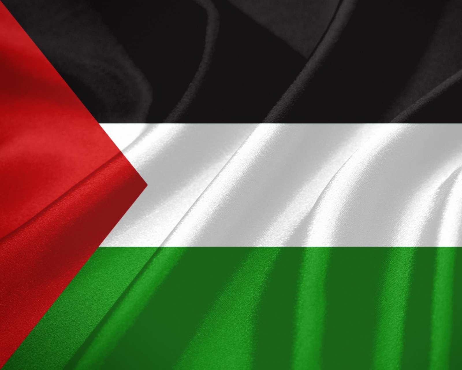 Screenshot №1 pro téma Palestinian flag 1600x1280