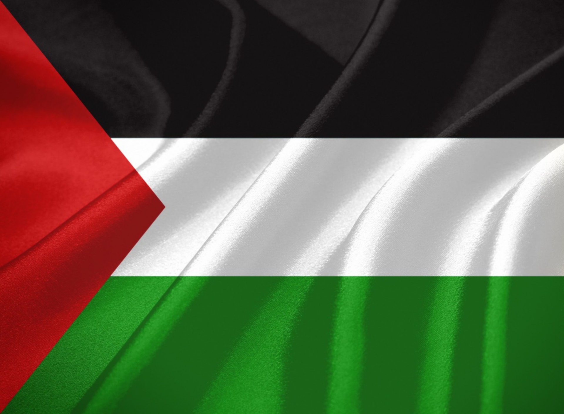 Fondo de pantalla Palestinian flag 1920x1408