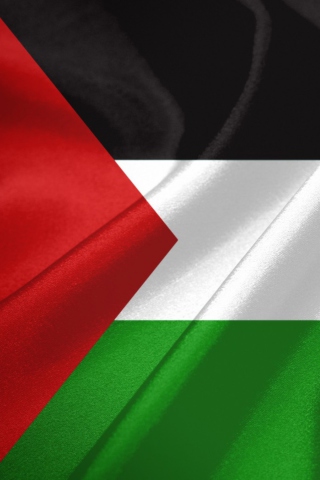 Fondo de pantalla Palestinian flag 320x480
