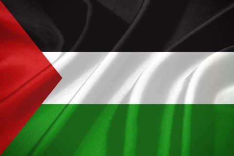 Обои Palestinian flag 480x320