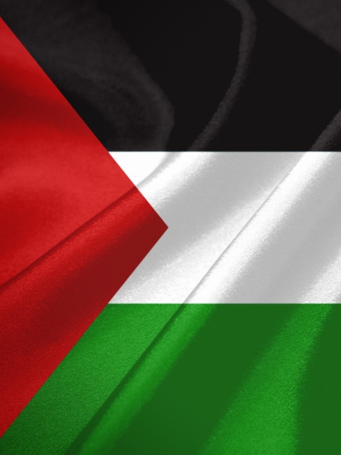 Fondo de pantalla Palestinian flag 480x640