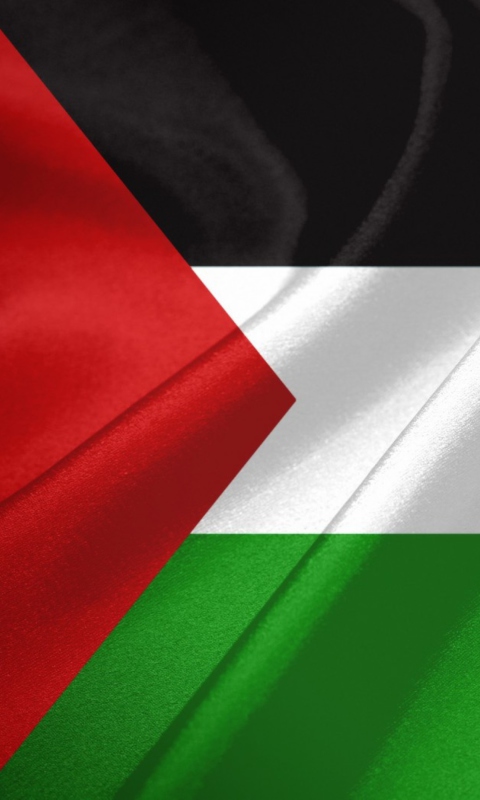 Обои Palestinian flag 480x800