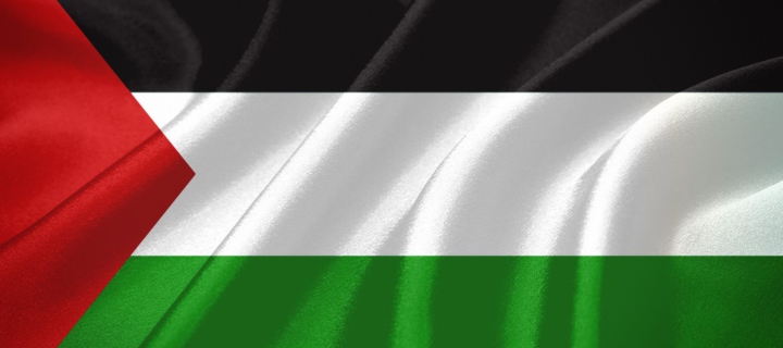 Fondo de pantalla Palestinian flag 720x320