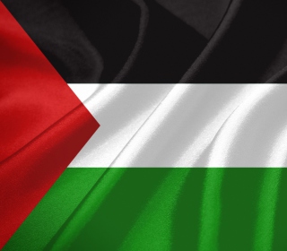 Palestinian flag - Obrázkek zdarma pro iPad 2