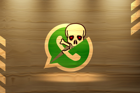 WhatsApp Messenger screenshot #1 480x320