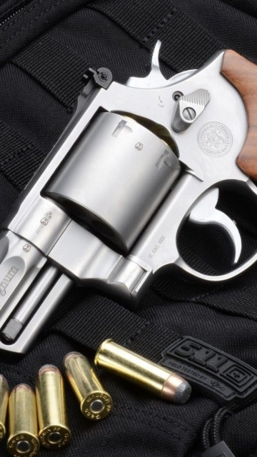 Smith & Wesson 629 screenshot #1 360x640