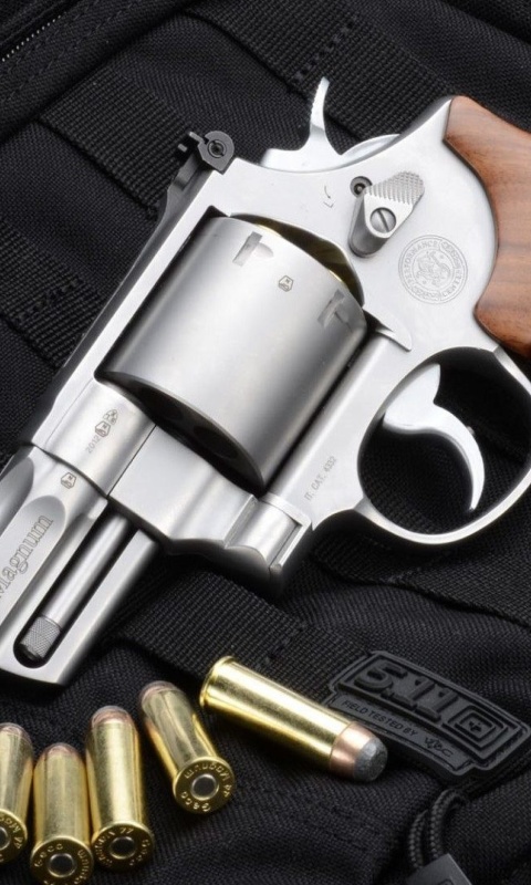 Smith & Wesson 629 screenshot #1 480x800