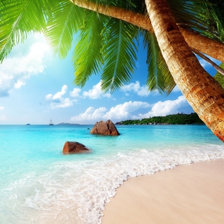 Punta Cana Beach sfondi gratuiti per iPad mini 2