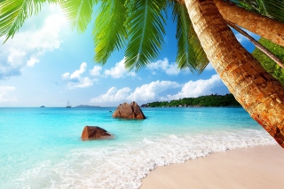 Punta Cana Beach Background for Android, iPhone and iPad