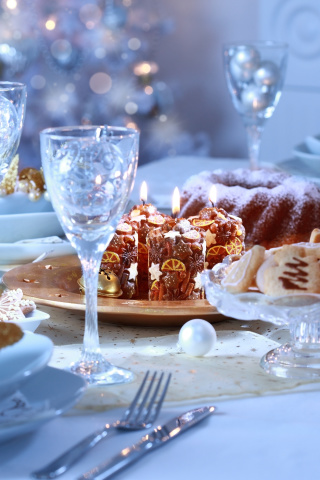 Gala Xmas Dinner screenshot #1 320x480