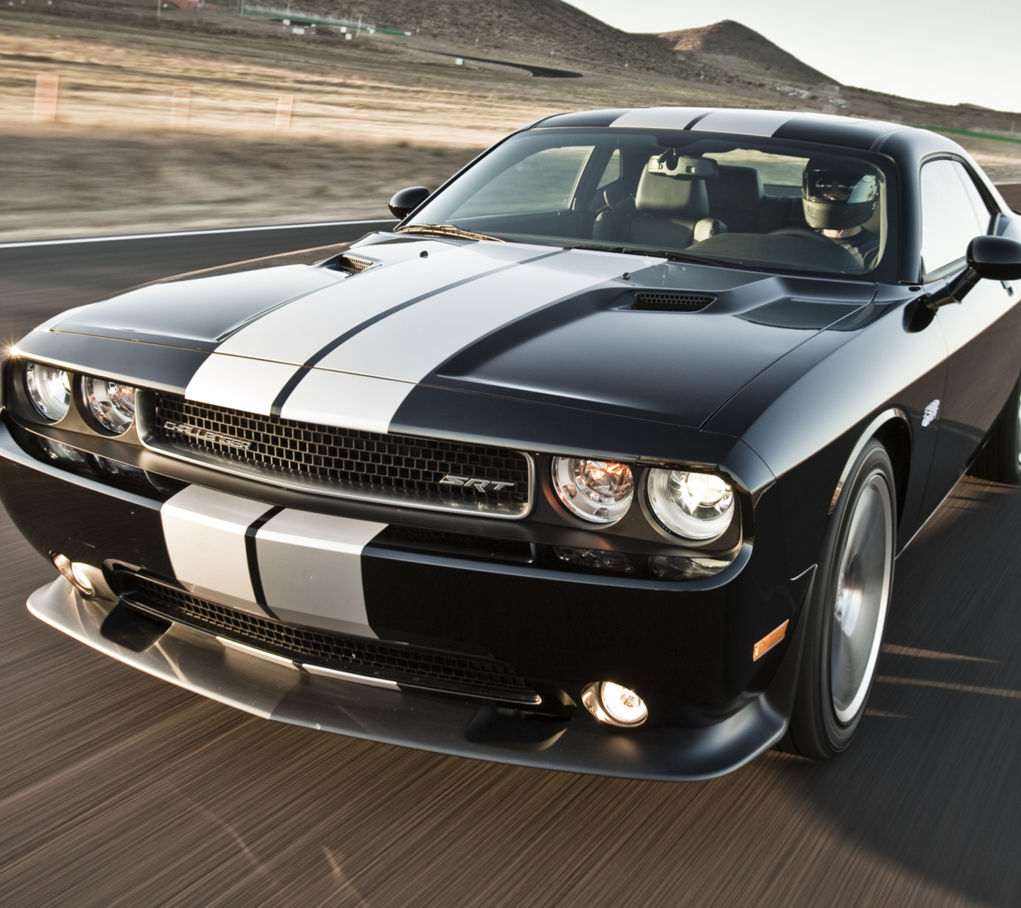 Das Dodge Challenger Wallpaper 1440x1280