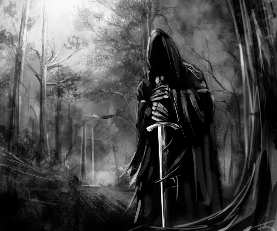 Fondo de pantalla Lord Of The Rings Illustration 960x800