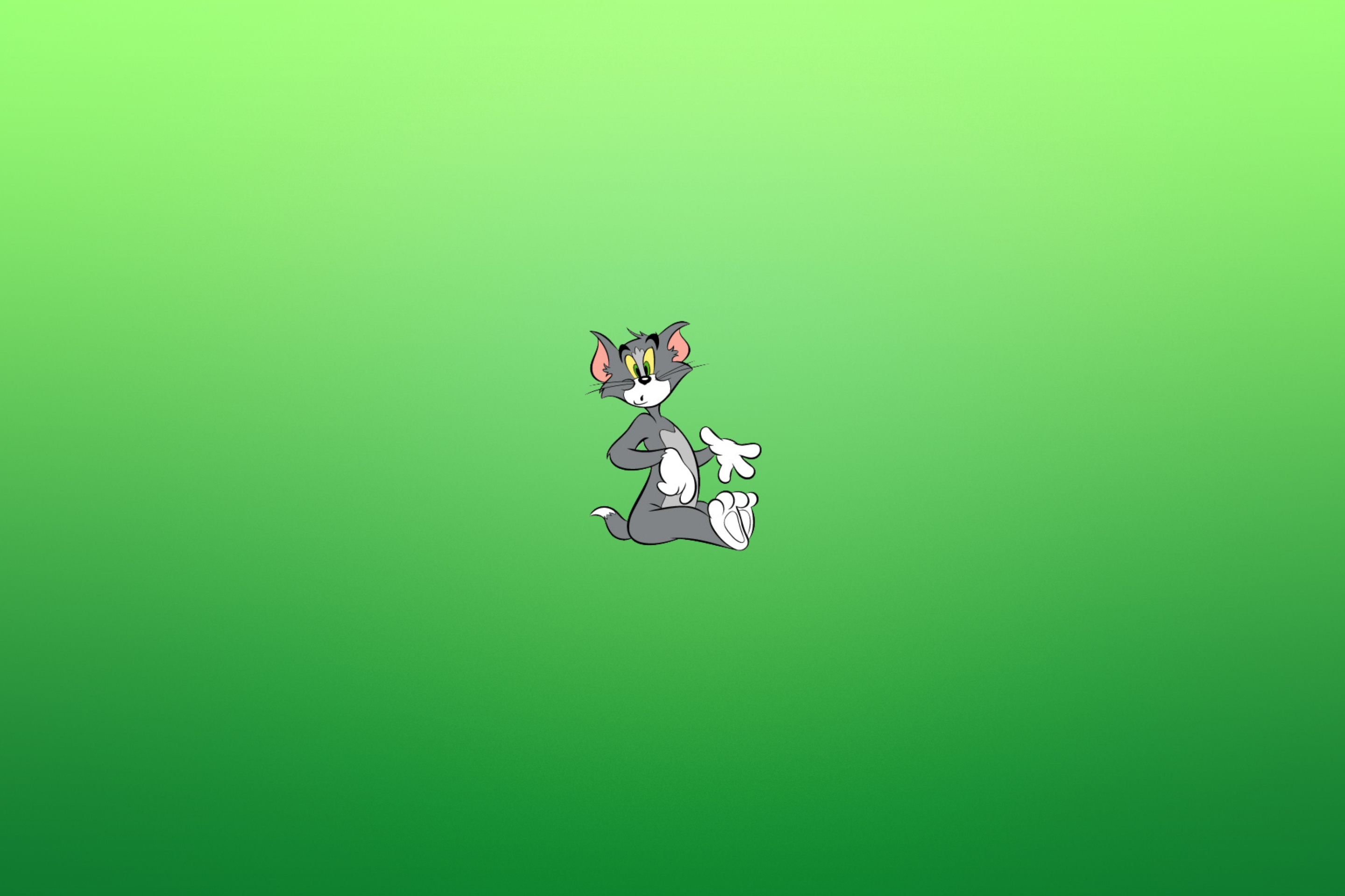 Обои Tom & Jerry 2880x1920