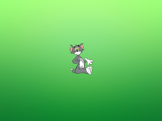 Обои Tom & Jerry 640x480