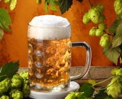 Cold Czech Beer wallpaper 176x144